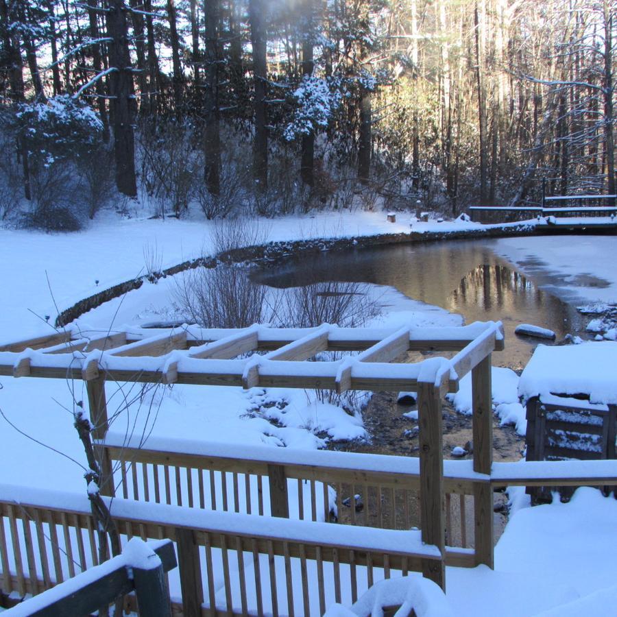 Red Leaf River Inn Waynesville Εξωτερικό φωτογραφία