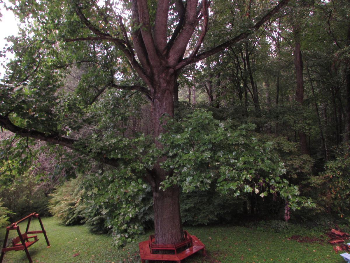 Red Leaf River Inn Waynesville Εξωτερικό φωτογραφία
